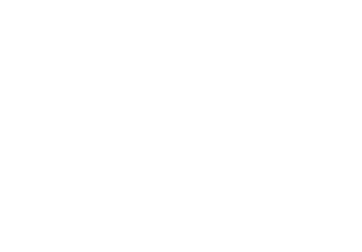 Vaissaire - Schilder - Timmerwerken - Logo - Wit